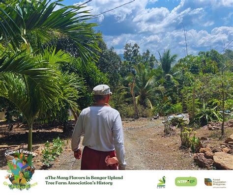 The Many Flavors in Bangar Upland Tree Farm Association’s .